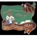 CALIFORNIA TRAIL HISTORICAL PIN